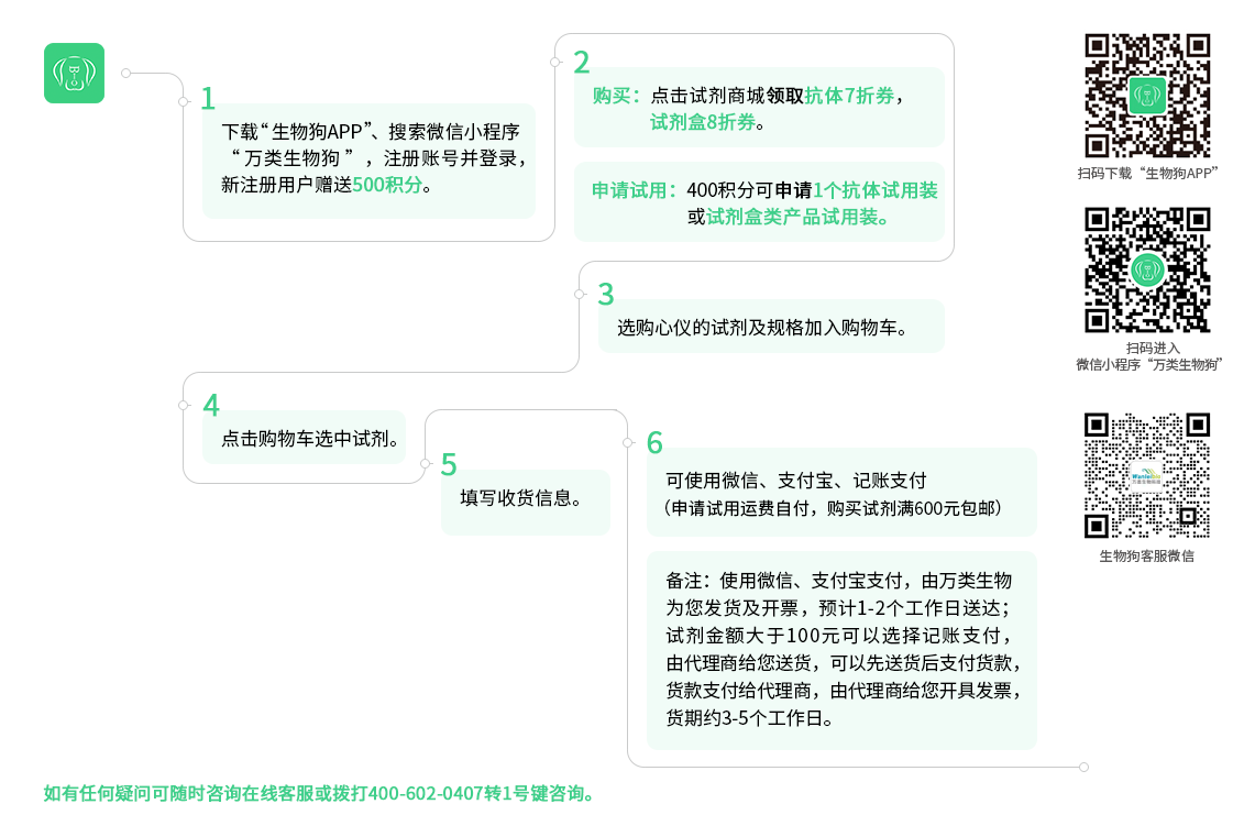 试用及购买流程2024-11-21 7折.png